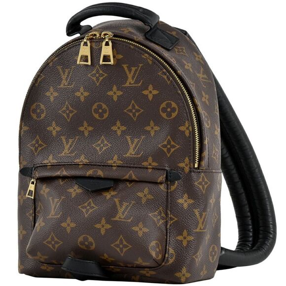 Louis Vuitton Palm Springs PM Rucksack Monogram Backpack - Picture 1 of 12